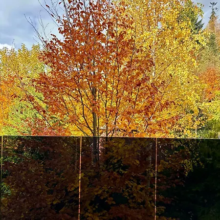 Makuchowka アパート