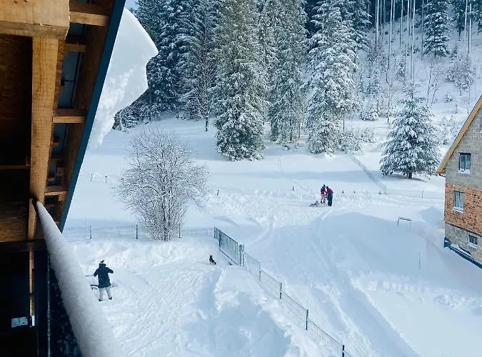 Makuchowka דירה *