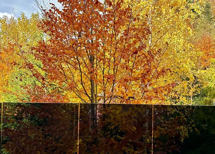 Makuchowka Apartment